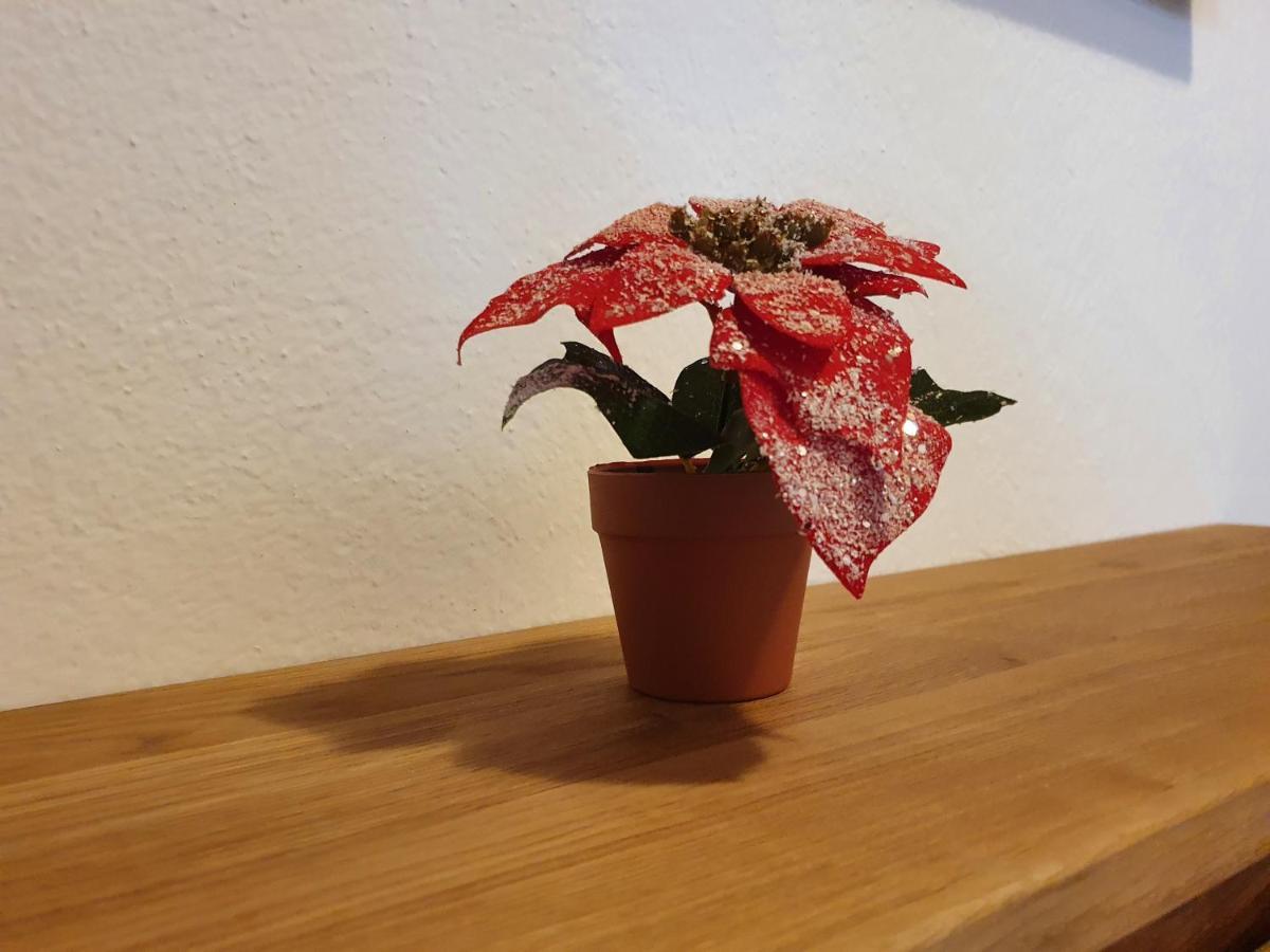 Ferienwohnung Kroell 젤암질러 외부 사진